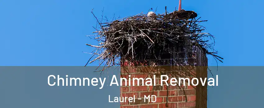 Chimney Animal Removal Laurel - MD