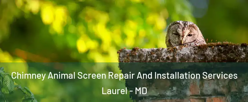  Chimney Animal Screen Repair And Installation Services Laurel - MD