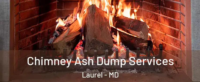  Chimney Ash Dump Services Laurel - MD