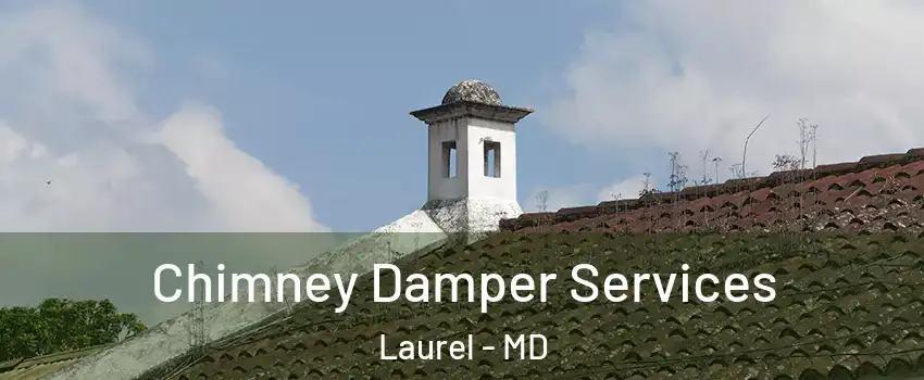  Chimney Damper Services Laurel - MD