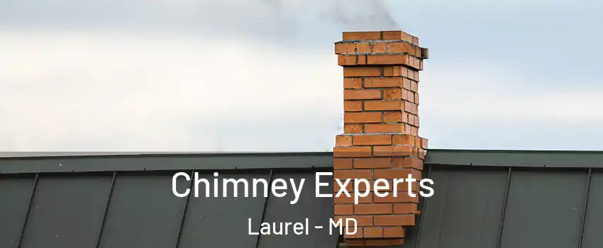 Chimney Experts Laurel - MD