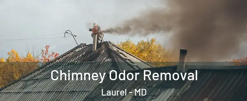  Chimney Odor Removal Laurel - MD