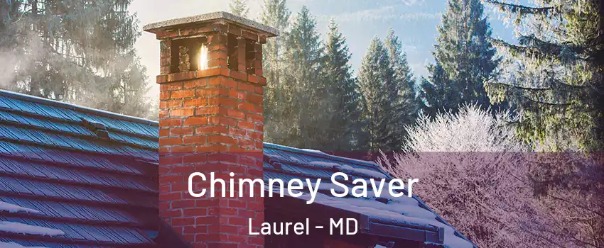  Chimney Saver Laurel - MD
