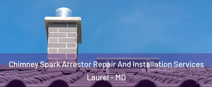  Chimney Spark Arrestor Repair And Installation Services Laurel - MD