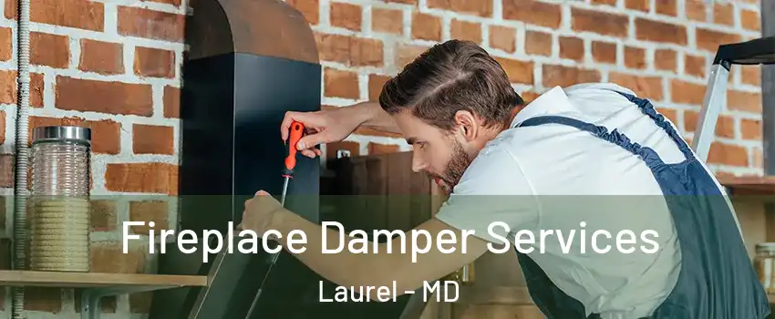  Fireplace Damper Services Laurel - MD