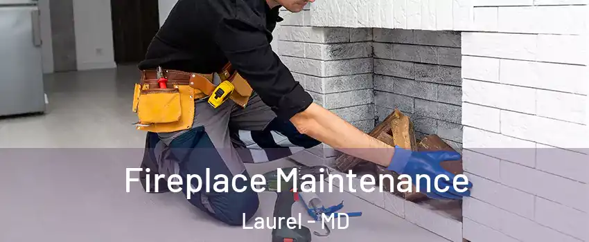  Fireplace Maintenance Laurel - MD