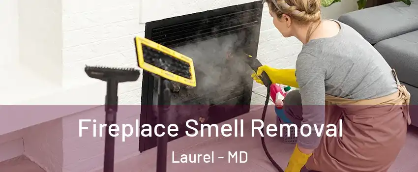  Fireplace Smell Removal Laurel - MD