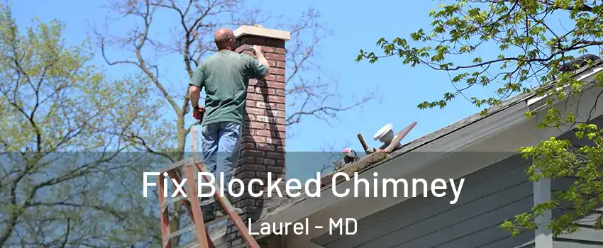  Fix Blocked Chimney Laurel - MD