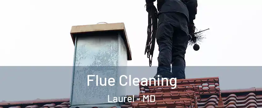  Flue Cleaning Laurel - MD