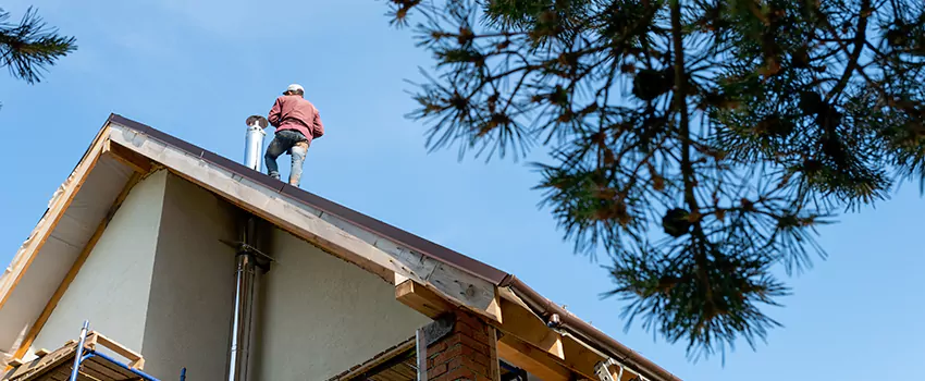 Birds Removal Contractors from Chimney in Laurel, MD