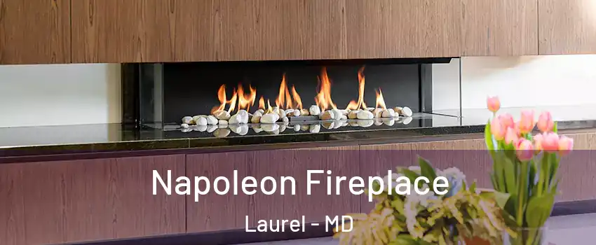  Napoleon Fireplace Laurel - MD